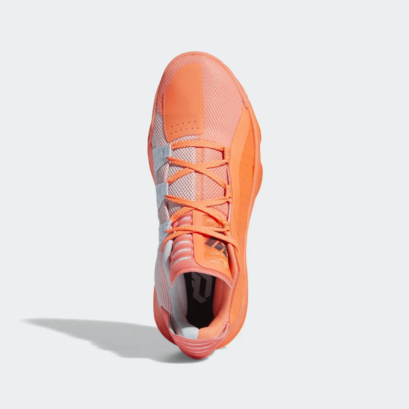 SEPATU BASKET ADIDAS Dame 6