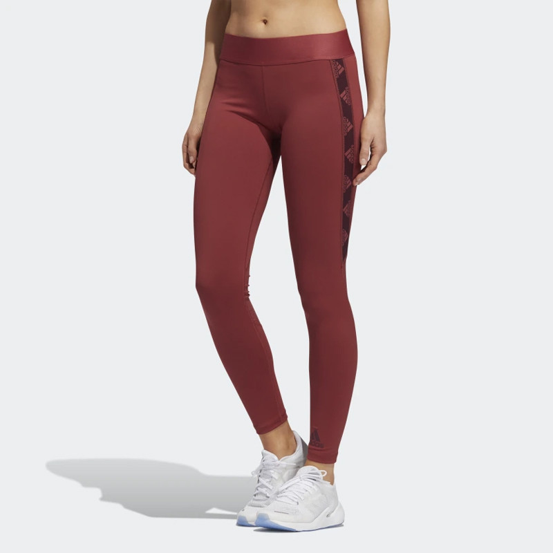 Wmns Alphaskin Badge of Sport Tights foto 3