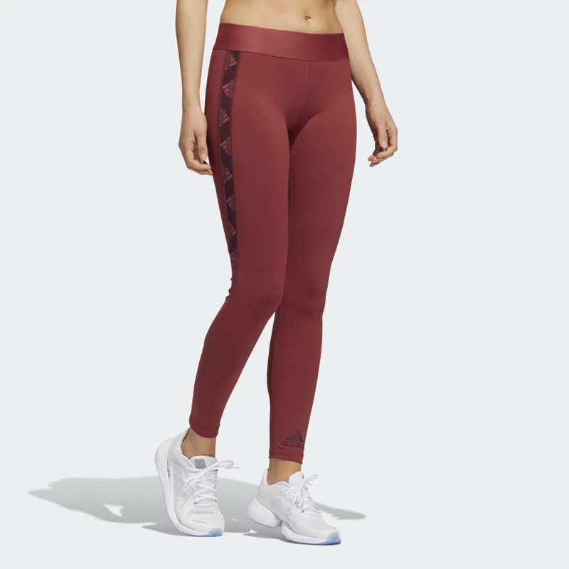 Wmns Alphaskin Badge of Sport Tights foto 4