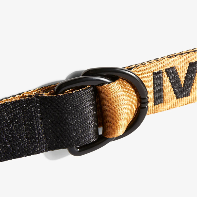 AKSESORIS SNEAKERS ADIDAS X Ivy Park Beyonce Logo Belt