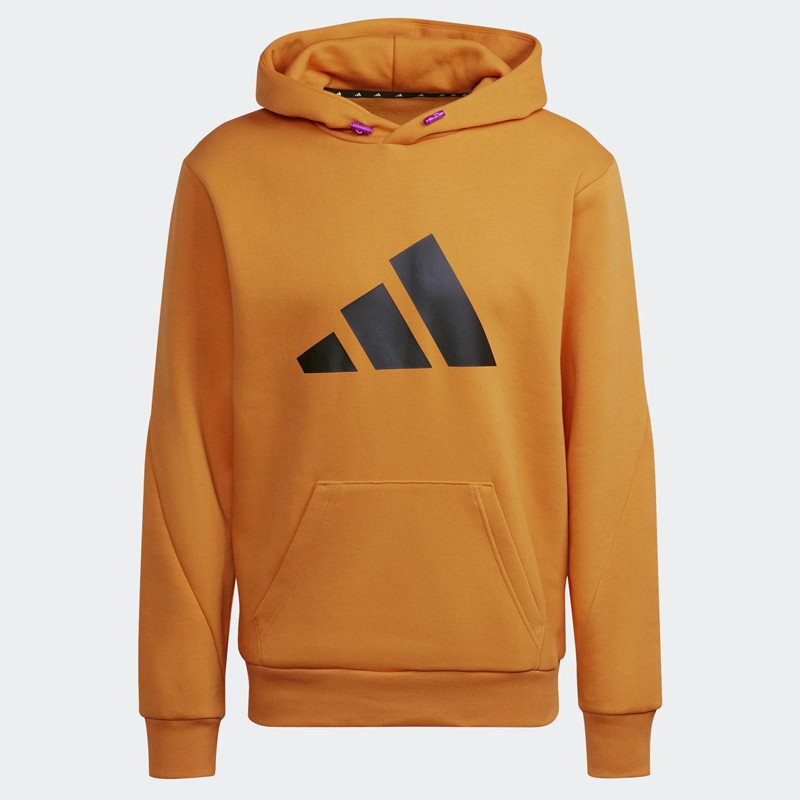 BAJU TRAINING ADIDAS Sportswear Future Icons Winterized Hoodie