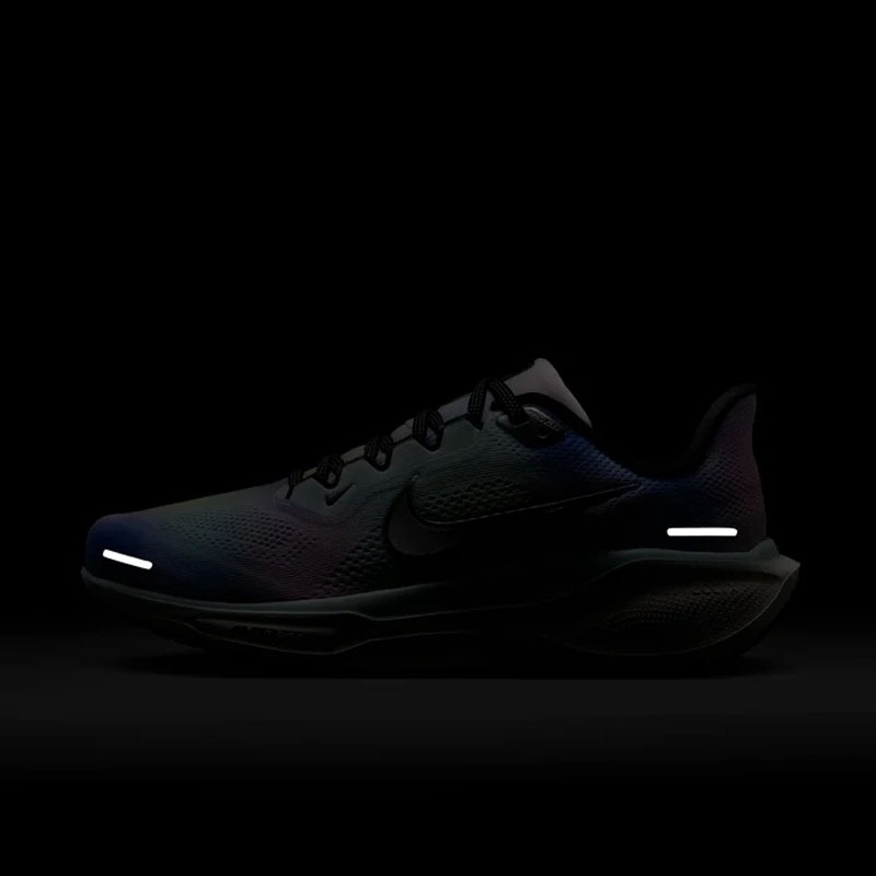SEPATU LARI NIKE WMNS AIR ZOOM PEGASUS 41 SE