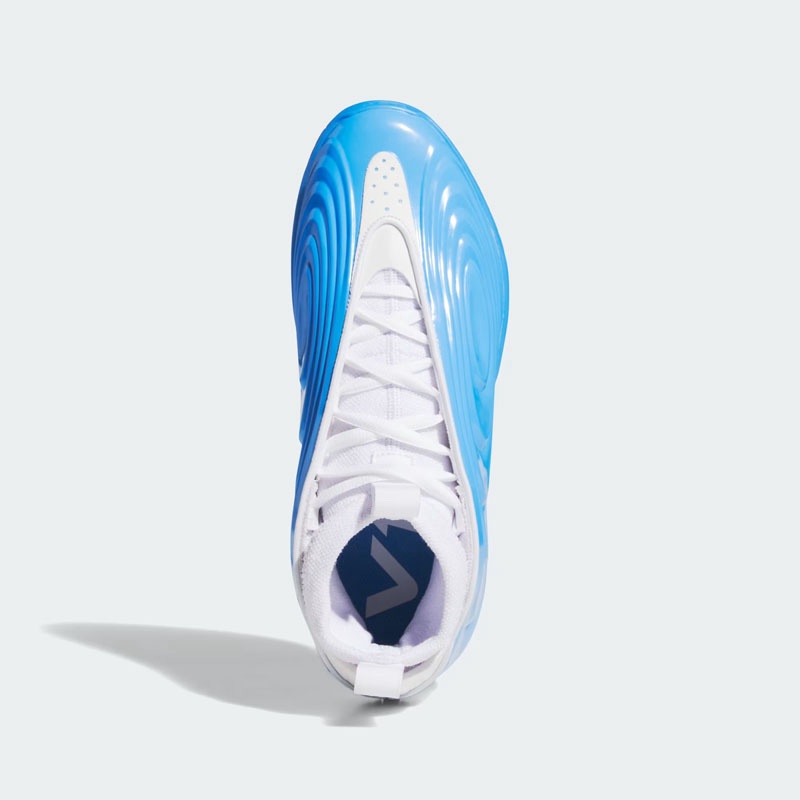 SEPATU BASKET ADIDAS HARDEN VOLUME 10