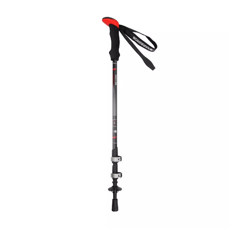 CARBON WALKING POLES