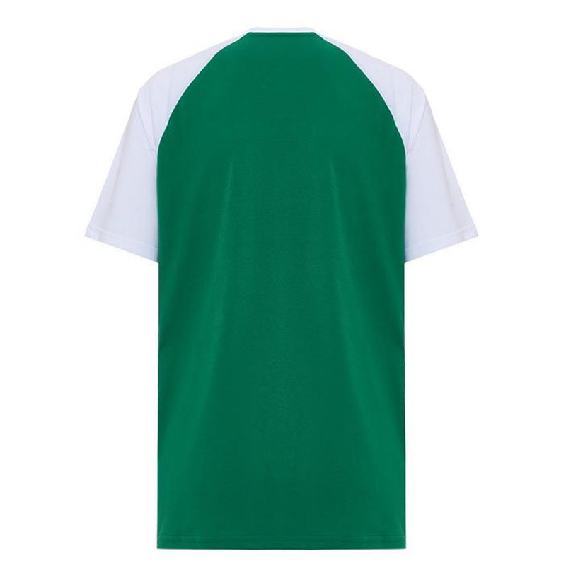 BAJU BASKET NBA SHORT SLEEVE TEE RAGLAN PRINT Boston CELTICS