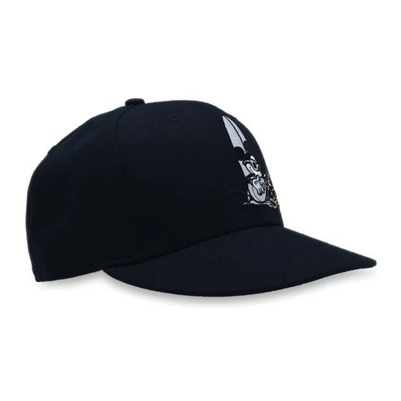 950 Disney Surf Cap foto 2