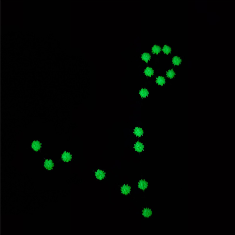 940 Zodiac Pisces Glow Cap foto 3