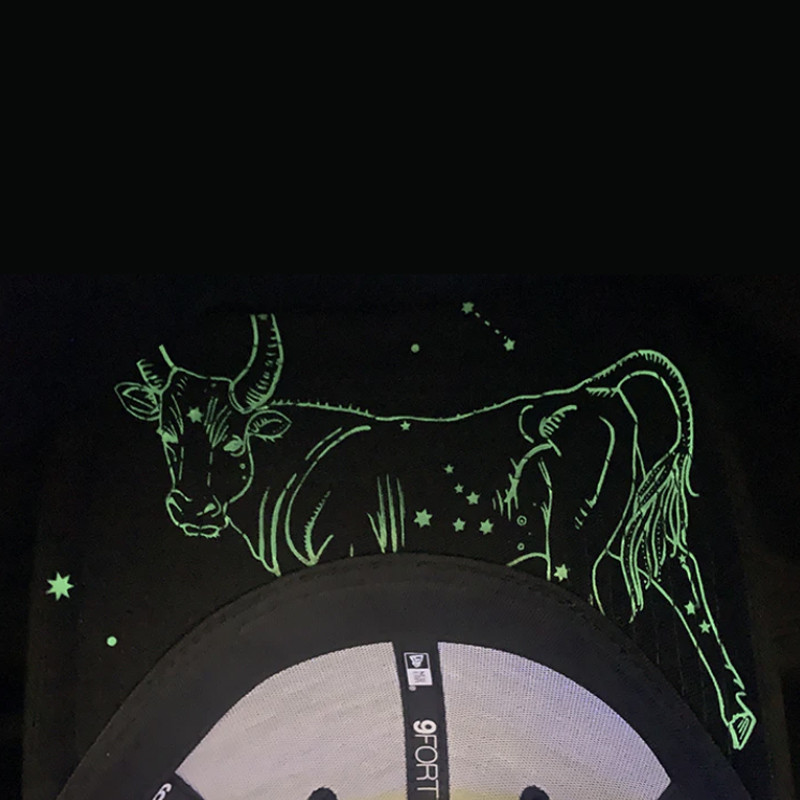 ZODIAC TAURUS GLOW IN THE DARK 9forty Cap foto 4
