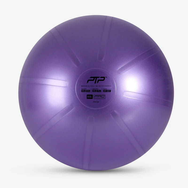 PERALATAN TRAINING PTP COREBALL 55CM
