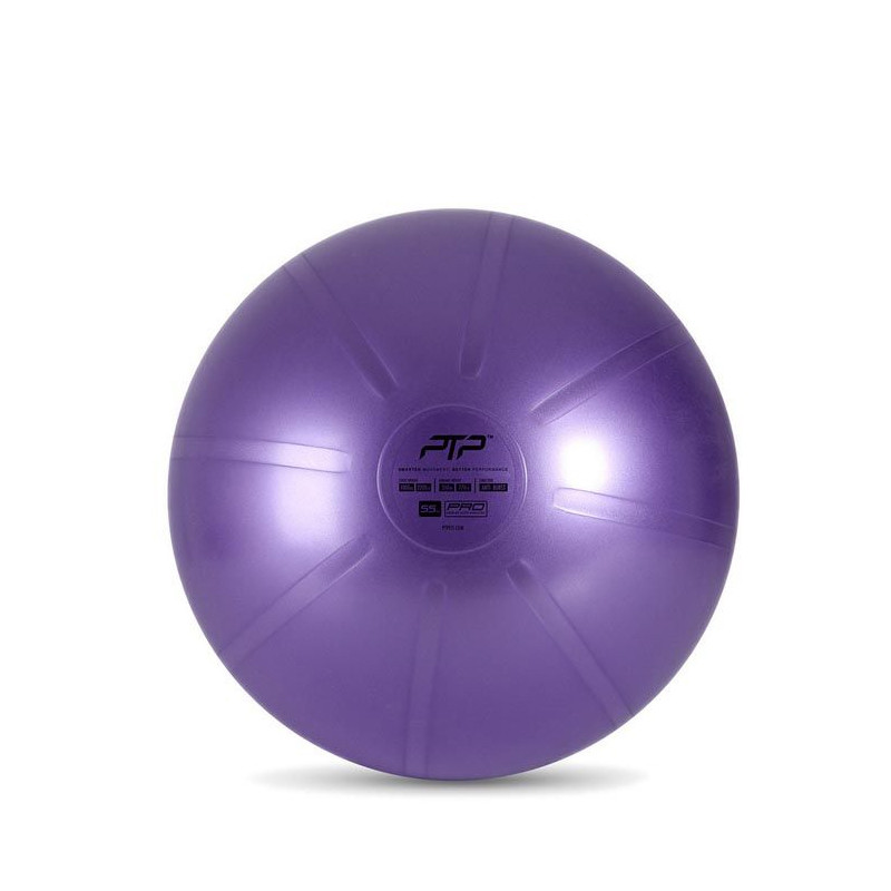 PERALATAN TRAINING PTP Coreball 55Cm