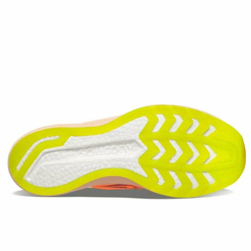 SEPATU LARI SAUCONY ENDORPHIN PRO 2