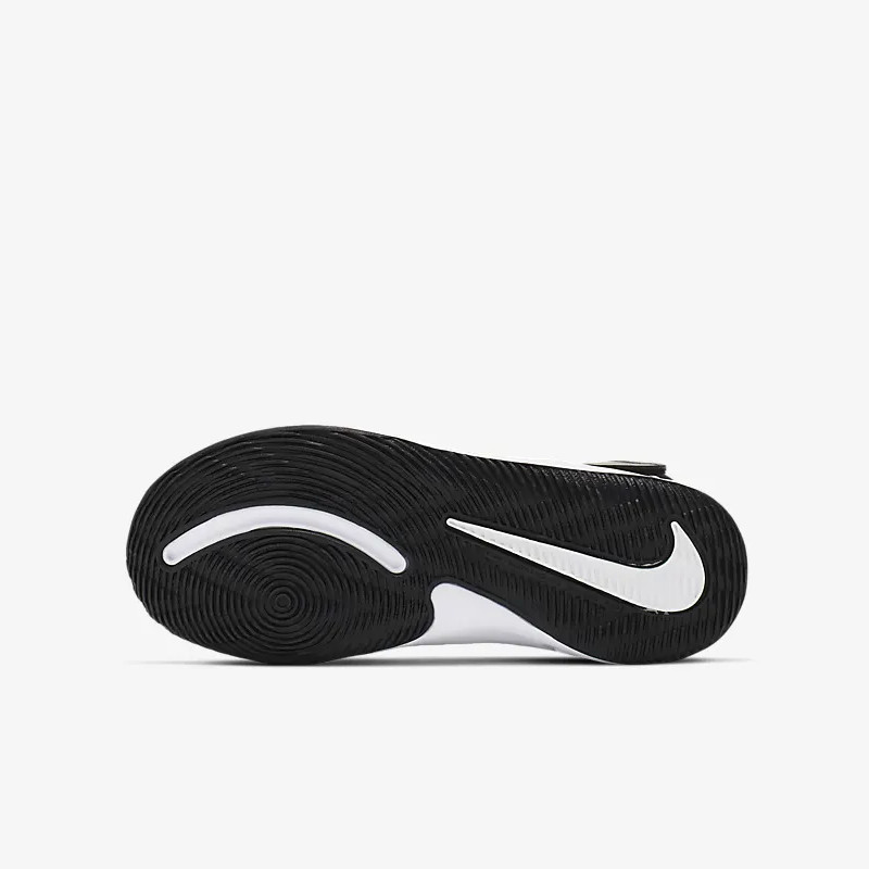 SEPATU BASKET NIKE Team Hustle D 9 PS