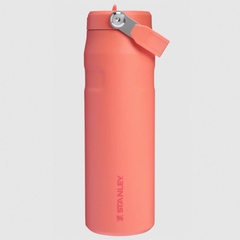 ICEFLW AEROLGHT FSTFLW WB PUCKER PEACH