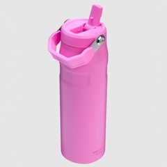 the iceflow bottle with flip straw lid 24 oz alternate view