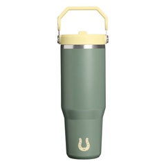 iceflow flip straw 2.0 tumb 30 oz alternate view
