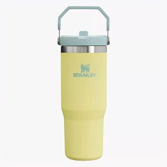 The IceFlow Flip Straw Tumbler OZ Pomelo 