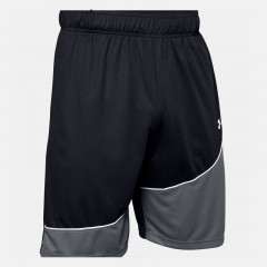baseline 10 inch shorts