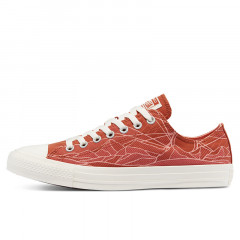summer daze chuck taylor all star low top