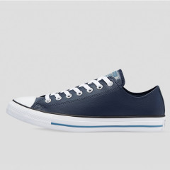 chuck taylor all star summer daze sl low top