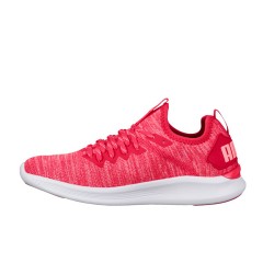 wmns ignite flash evoknit
