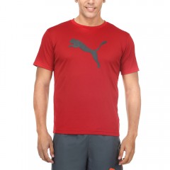 pt ess dry branded tee