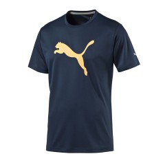 pt ess dry branded tee