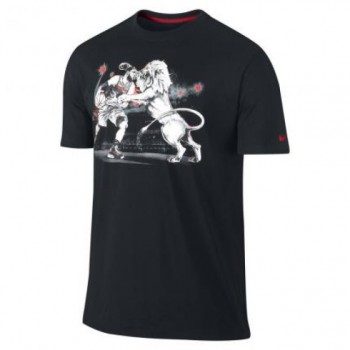 lebron lion within hero t