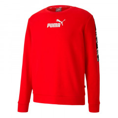 amplified crew sweater