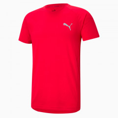 evostripe tee