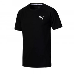 evostripe tee
