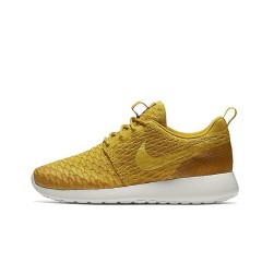 wmns roshe one flyknit