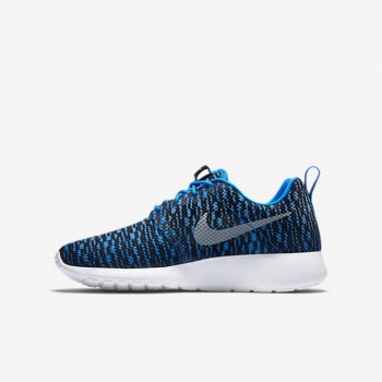 roshe one gs
