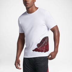 aj 31 stretched wings tee