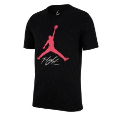 sportswear flight cement tee