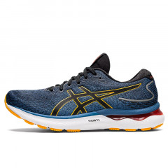 Gel-Nimbus 24