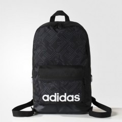 daily backpack