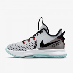 lebron witness v gs