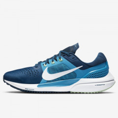 air zoom vomero 15