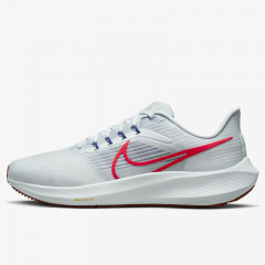 air zoom pegasus 39
