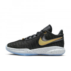lebron xx gs