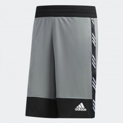 pro madness shorts