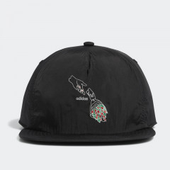 josh snapback hat