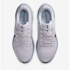 pegasus 41 foto 3