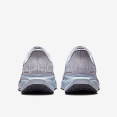 pegasus 41 foto 4
