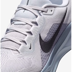 pegasus 41 foto 5