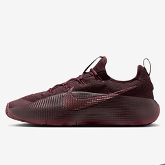 LEBRON TR 1 FJ6151-601