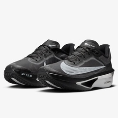 zoom fly 6 alternate view