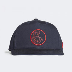 spiderman cap