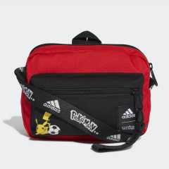 pokemon organizer