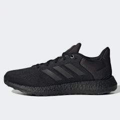 pureboost 21